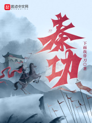 秦功笔趣阁无弹窗免费阅读