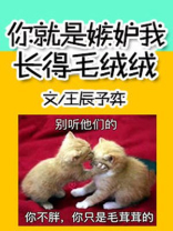 你就是嫉妒我长得毛绒绒 百度网盘