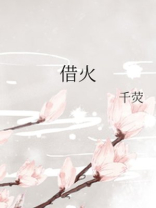 借火小说简介