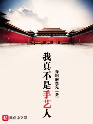 我真不是手艺人 奔跑的傻兔