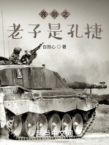 亮剑之老子是孔捷最新