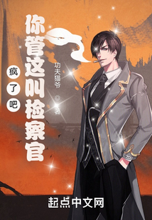 疯了吧你管这叫检察官TXT下载