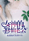 女神的修仙继承者