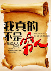 我真的不是穷人下载