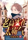 老高全名