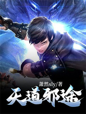天道邪少 小说