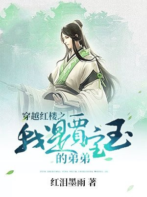 穿越红楼之我是贾宝玉的弟弟免费阅读