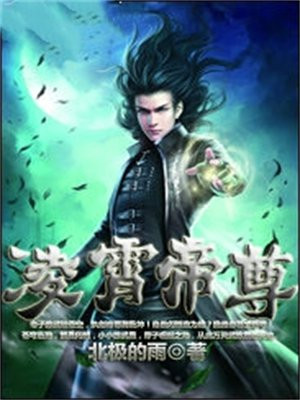 凌霄帝尊 北极的雨