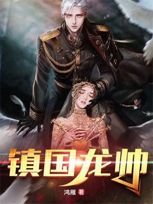 镇国龙帅1C100集免费观看