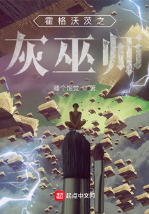 霍格沃茨之灰巫师精校TXT