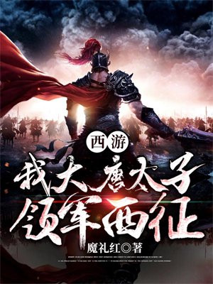 西游大唐太子修武道的小说