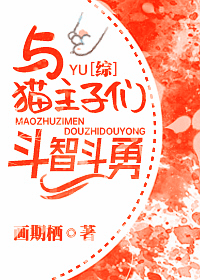 和猫斗智斗勇的句子
