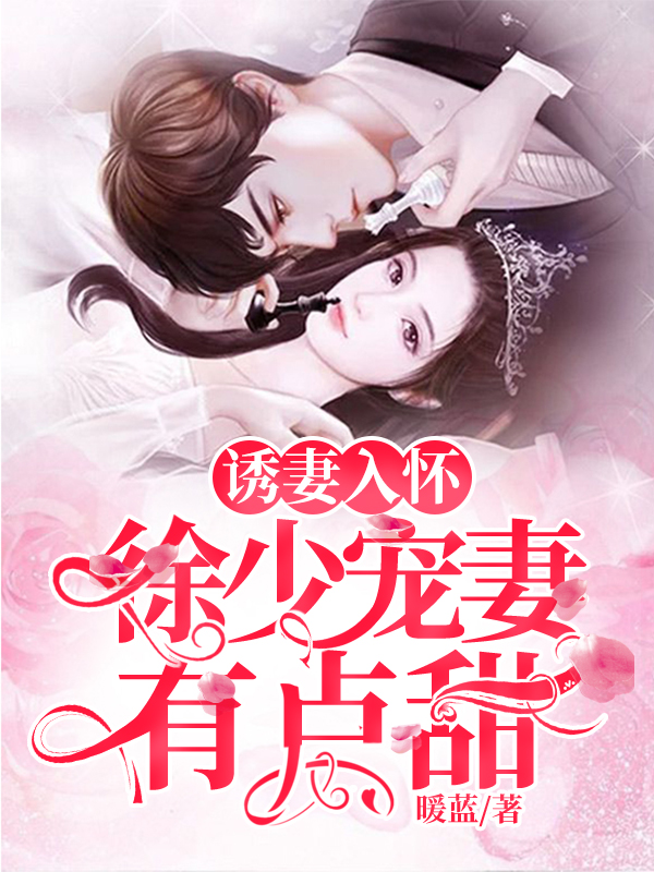 诱妻入室徐安然