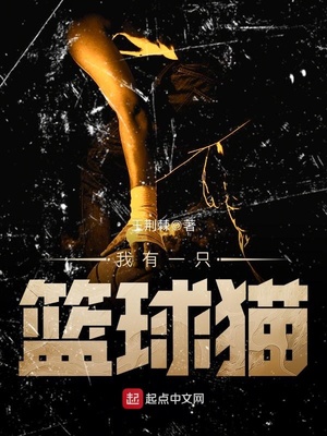 我有一只篮球猫 小说