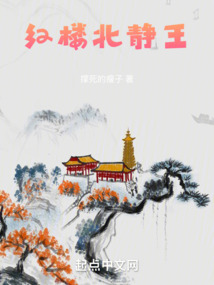 穿越红楼北静王的小说