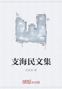 支海民的书