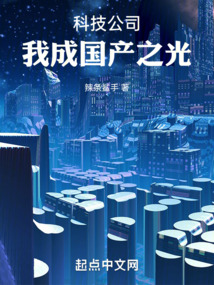 科技公司我成国产之光 陈星