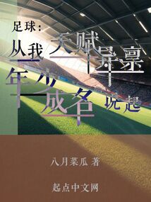 足球:从我天赋异禀年少成名说起TXT下载