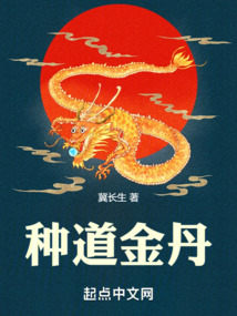 种道金丹TXT下载