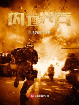 内卫尖兵小说笔趣阁