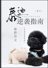 泰迪逆袭指南 百度云
