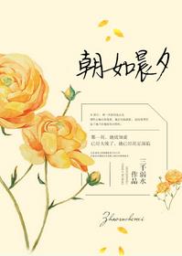 朝如晨曦小说