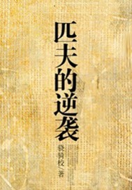 匹夫的逆袭全文阅读