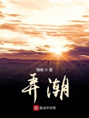 弄潮歌词