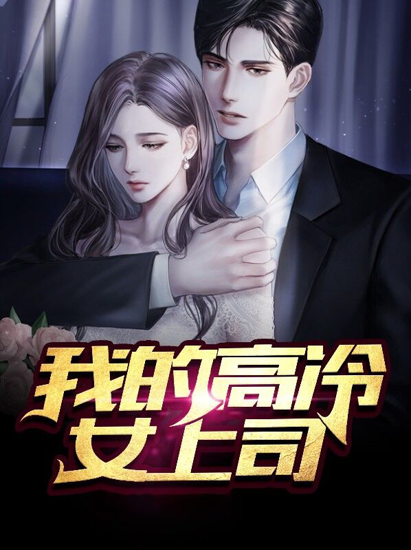 我的高冷女总裁的小说