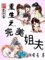 重生之完美姐夫 小说
