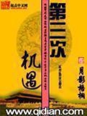 第三次机遇TXT下载