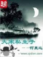十大宋朝穿越小说