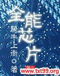 全能芯片作文