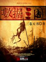 数据三国 三卷天书