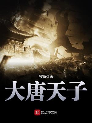 大唐天子电视剧