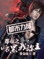 都市之黑暗升级 小说