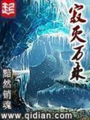 寂灭万乘百度云