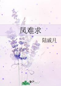 凤难求书评