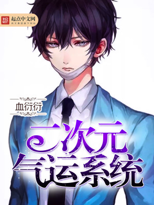 二次元系统流