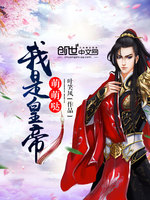 我是皇上 小说