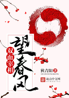 小说望春风格非
