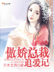傲娇总裁追妻忙宠妻成瘾