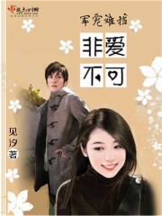 军宠难挡之非爱不可