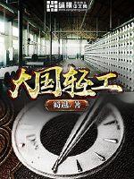 大国轻工无弹窗无广告