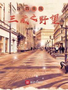 四合院:三藏之野望小说TXT下载