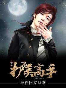 绝世护花高手第二部