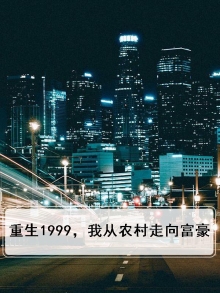 重生1999，我从农村走向富豪