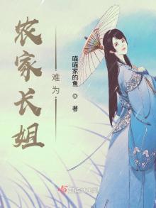 农家长姐小说