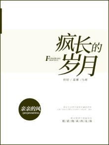 疯狂的岁月小说