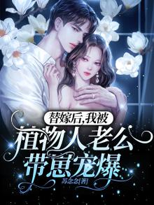 替嫁植物人的小说